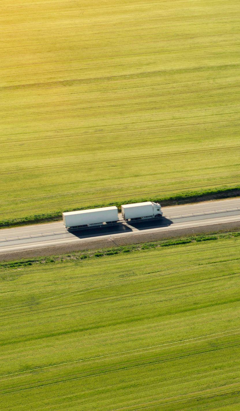 Truck and Bus